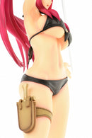 FAIRY TAIL OrcaToys Erza Scarlet: Swimwear Gravure_Style