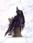 Original illustration B-FULL (FOTS JAPAN) Sharurunowa