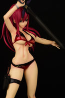 FAIRY TAIL ORCATOYS Erza Scarlet  Swim　Ｗｅａｒ Gravure_Style/ver.FIRE