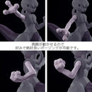 Pokémon SENTINEL POLYGO Pocket Monster Mewtwo