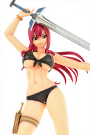 FAIRY TAIL OrcaToys Erza Scarlet: Swimwear Gravure_Style