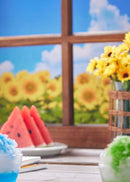 Hyperdimension Neptunia Broccoli Neptunia Summer Vacation Ver. Limited Edition