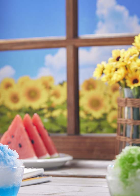 Hyperdimension Neptunia Broccoli Neptunia Summer Vacation Ver.