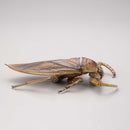 REVO GEO KAIYODO Kirkaldyia deyrolli