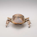 REVO GEO KAIYODO Kirkaldyia deyrolli