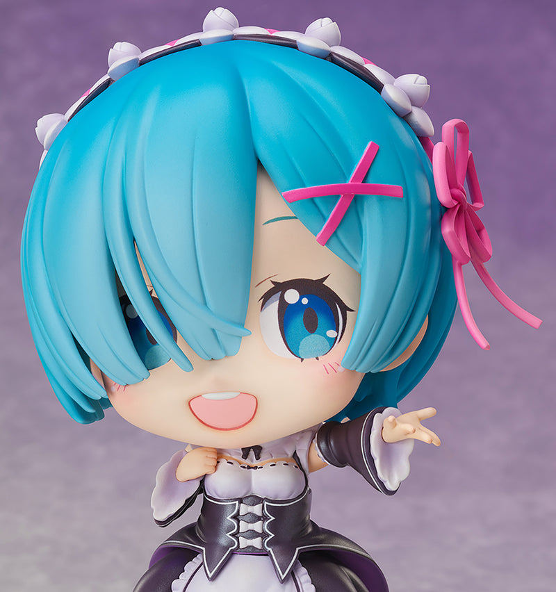 Re:ZERO Proovy Rem Coming Out to Meet You Ver. Artistic Coloring