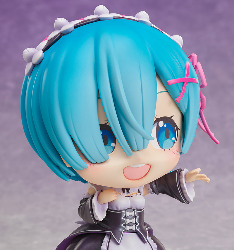 Re:ZERO Proovy Rem Coming Out to Meet You Ver. Artistic Coloring