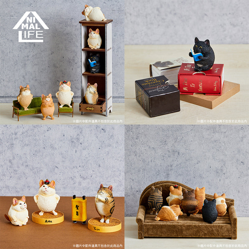 ANIMAL LIFE Collaboration Series UNION CREATIVE TOSHIO ASAKUMA × FUMEANCATS (Box of 8 Blind Box)