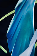 Fate/Grand Order HOBBY JAPAN Lancer - Brynhild LIMITED Ver.