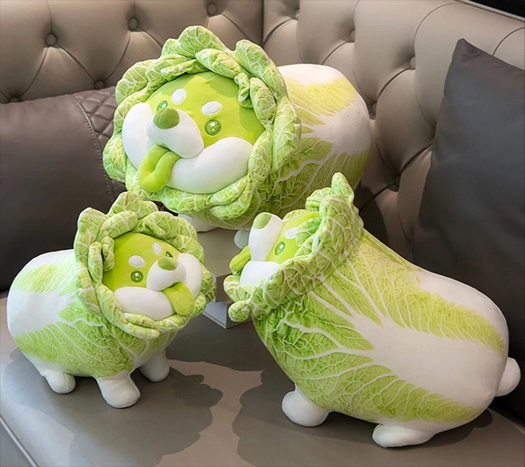 VEGETABLE FAIRY SERIES DODOWO PLUSH CABBAGE DOG 30cm