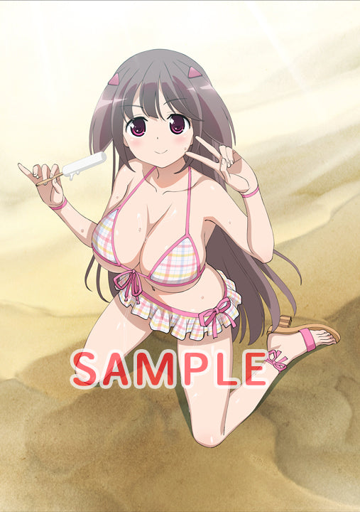 Saki The Nationals HOBBY JAPAN Yukiko Maya