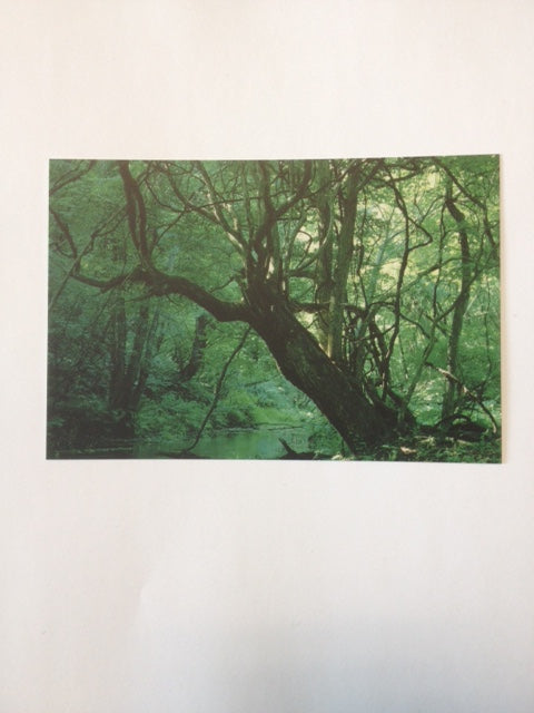 70172 H POST CARD(KAGAYA/moon)
