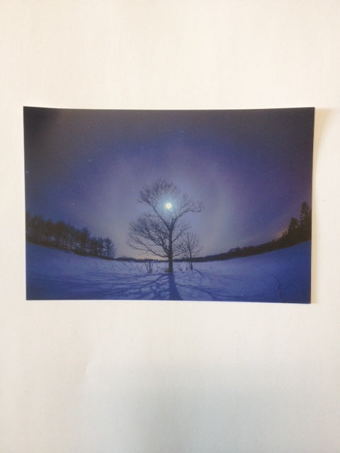 70171 H POST CARD(Kitagawa/river)