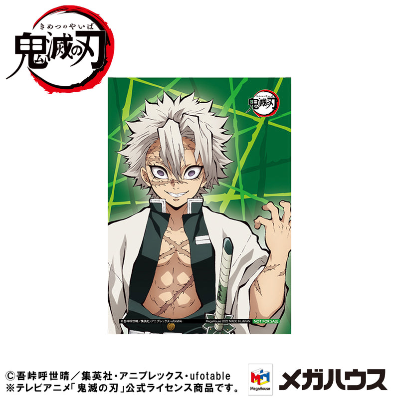 Demon Slayer Kimetsu no Yaiba MEGAHOUSE G.E.M. Series Palm size Shinazugawa-san【with gift】