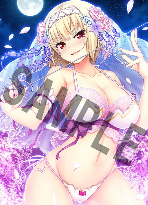Nora And The Princess And The Stray Cats Heart 2 VERTEX Lucia of end Sacramento  LTD Ver.