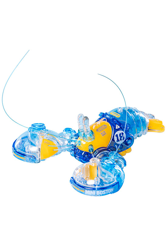 ORANGE CAT INDUSTRY Boston Lobster (Crystal Blue)