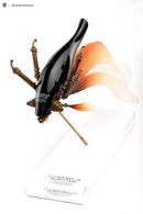 Sum-Art Carassius Auratus - BLACK