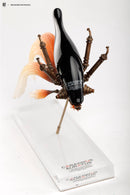 Sum-Art Carassius Auratus - BLACK