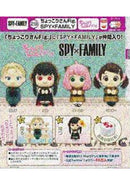 SPY x FAMILY Takaratomy Arts Chokkorisan Fig.(1 Random)