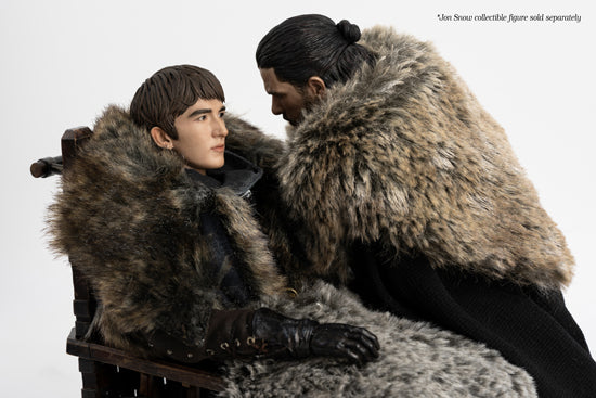Game of Thrones threezero BRAN STARK Deluxe Version