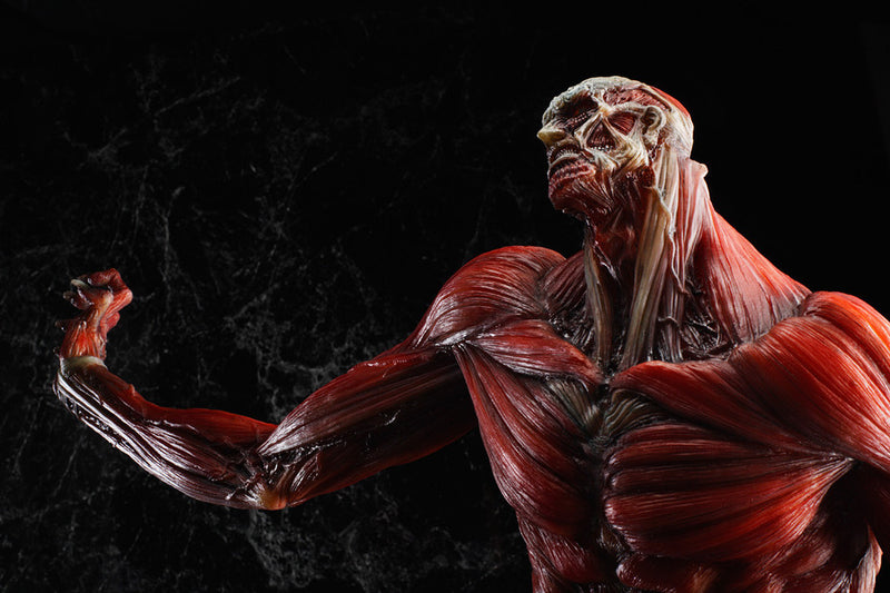 Attack on Titan Good Smile Company The Colossus Titan: TAKAYUKI TAKEYA Ver