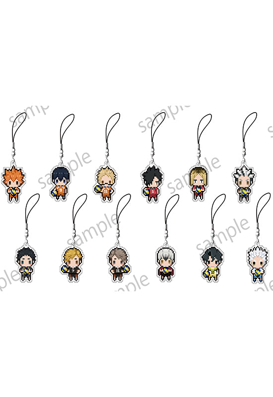 Haikyu!! To The Top KADOKAWA Petit Bit Strap Collection (1 Random)