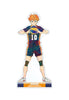 Haikyu!! To The Top armabianca Ani-Art Vol. 4 Big Acrylic Stand Hinata Shoyo