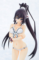 IS (Infinite Stratos) 2 Gift Houki Shinonono Swimsuit Ver.