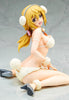 IS (Infinite Stratos) FREEing Charlotte Dunois Poodle Ver.