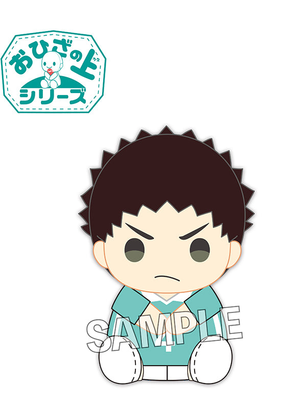 Haikyu!! PROOF On the Lap Series Plush Iwaizumi Hajime