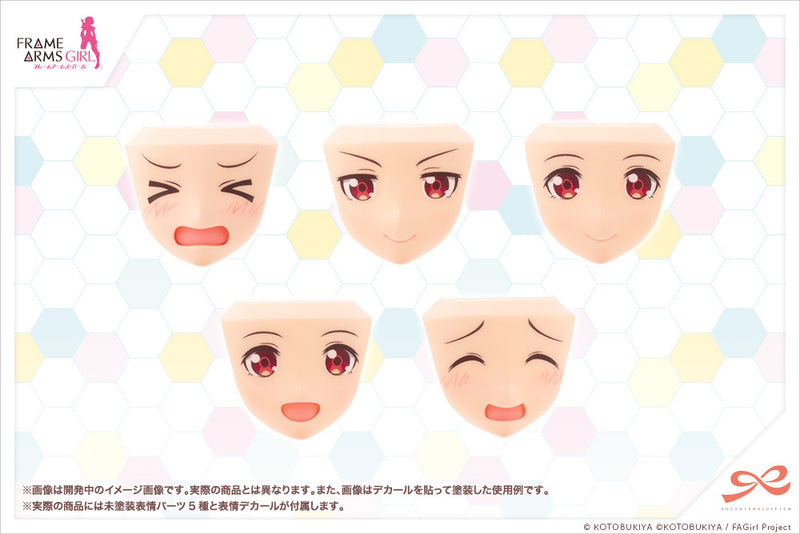 SOUSAISHOJOTEIEN Kotobukiya AFTER SCHOOL GOURAI BIRTHDAY SET