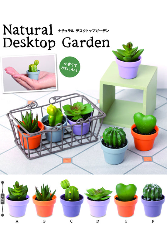 Natural System Service Desktop Garden(1 Random)