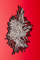 CODE VEIN Kotobukiya IO CUDDLING THE SWORD ARTFX J