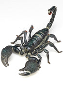 REVOGEO 001 KAIYODO Pandinus Imperator