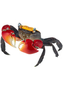 REVOGEO 002 KAIYODO Chiromantes Haematocheir