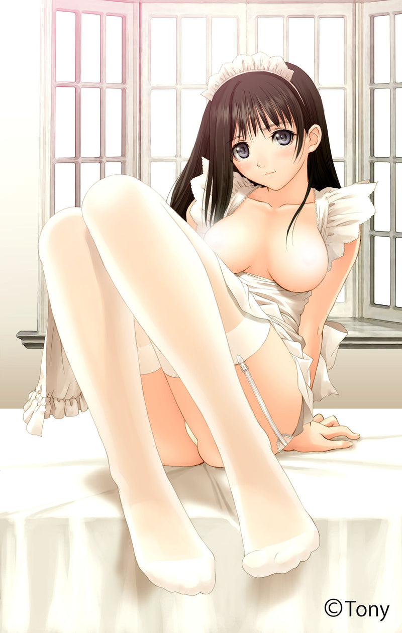 ShinAkira Maboroshiyume-kan Art☆Girls Nozomi Watase