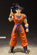 Dragon Ball Z Bandai S.H.Figuarts Son Gokou Earth Grew up Saiyan (2nd-order)