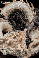 Sum-Art Keita Okada - Tiger and Dragon