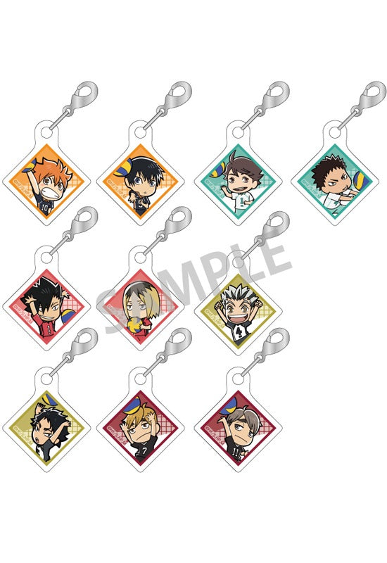 Haikyu!! KAMIO JAPAN Trading Joint Acrylic Parts(1 Random)