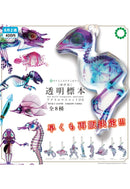 Science Techni Colour Ikimon New World Trasparent Specimens Acrylic Mascot DX(1 Random)