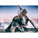 ONE PIECE P.O.P. MEGAHOUSE Warriors Alliance Trafalgar Law