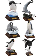 Nature Technicolor South Pole Special Edition (1 Random)