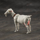 GUNDAM MOBILE SUIT The 08th MS Team  MEGAHOUSE G.M.G. Former Principality of Zeon 09  Cucuruz Doan＆Blanca