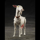 GUNDAM MOBILE SUIT The 08th MS Team  MEGAHOUSE G.M.G. Former Principality of Zeon 09  Cucuruz Doan＆Blanca