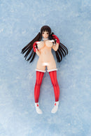 Narikire! Layer Akiyoshi-san 1/5.5