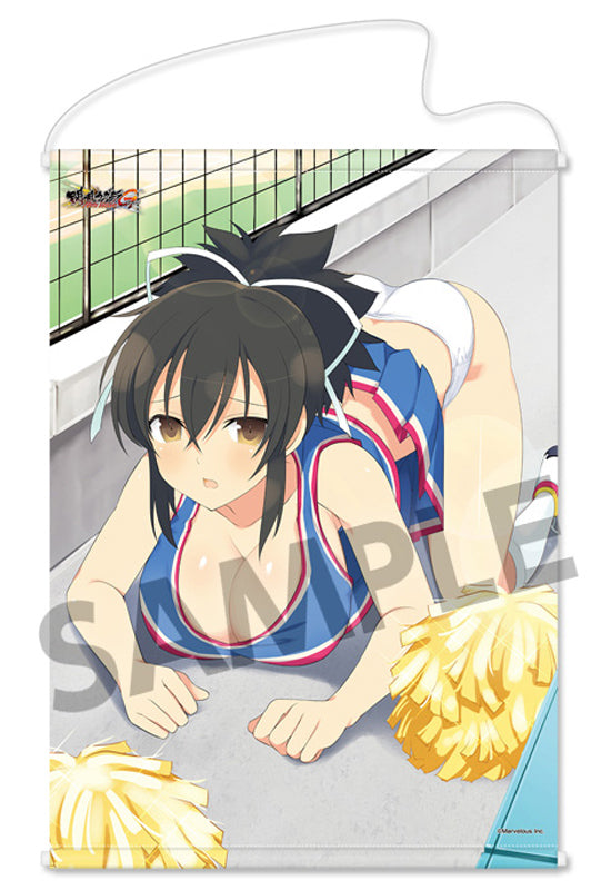 Senran Kagura NewWave G Burst HOBBY STOCK Tapestry Ikaruga Dripping Wet Ver.Asuka Cheerleading Ver.