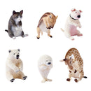 ANIMAL LIFE UNION CREATIVE Baby Hug (Box of 8 Blind Box)