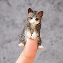 ANIMAL LIFE UNION CREATIVE Baby Hug  (1 Random Blind Box)