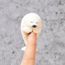 ANIMAL LIFE UNION CREATIVE Baby Hug (Box of 8 Blind Box)