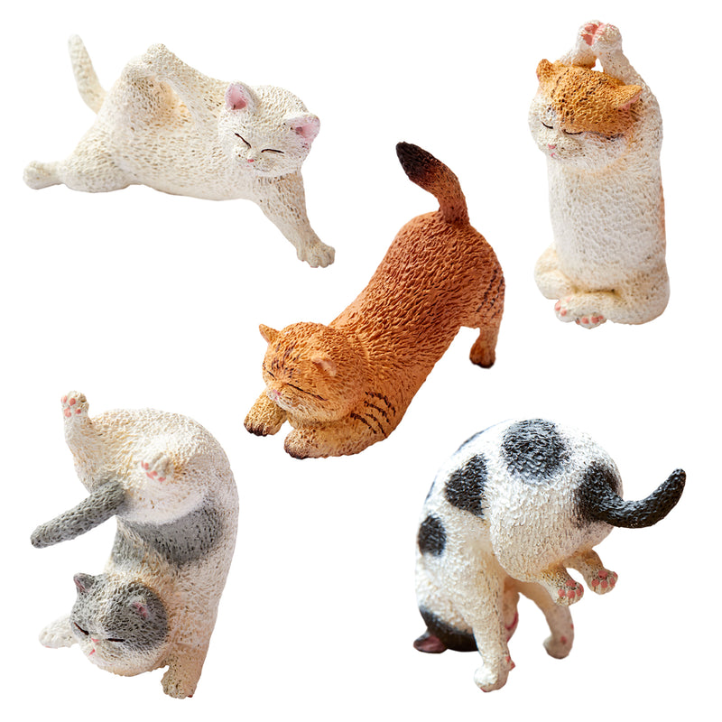 ANIMAL LIFE UNION CREATIVE Baby Yoga Cat (1 Random Blind Box)